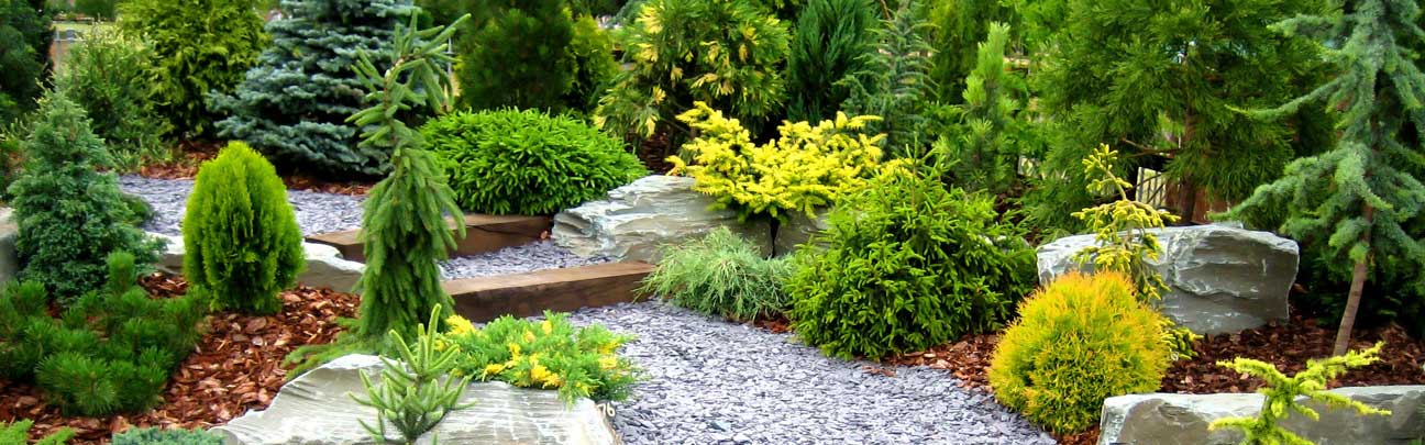 Arabella Commercial Landscape Company